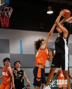 imgi_51_IMG_2624-243x300